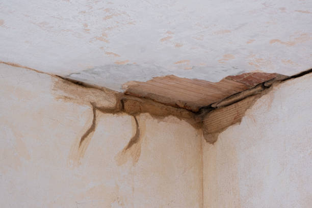 Best Professional water damage repair  in North Myrtle Beach, SC