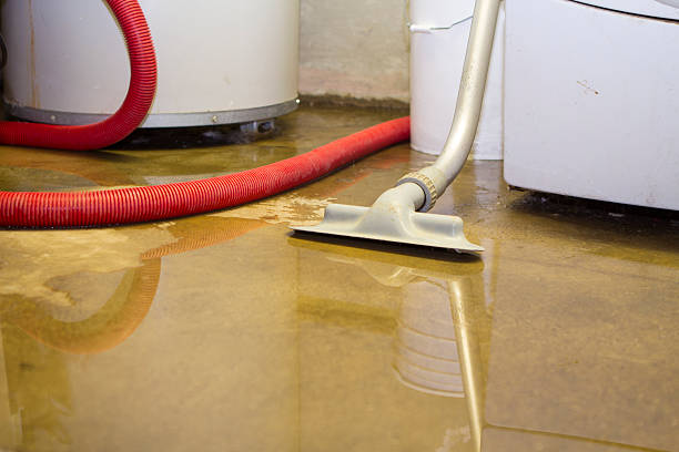 Reliable North Myrtle Beach, SC Water damage restoration Solutions