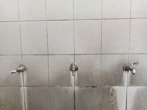 Best 24/7 water damage repair  in North Myrtle Beach, SC
